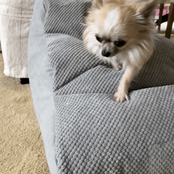 Best Orthopedic Micro Bead small Pet stairs - Picture 5 of 9